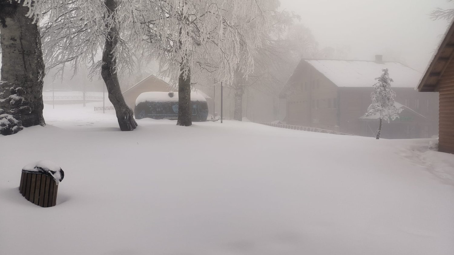 Kuzu Yayla'ya Lapa Lapa Kar Yağıyor