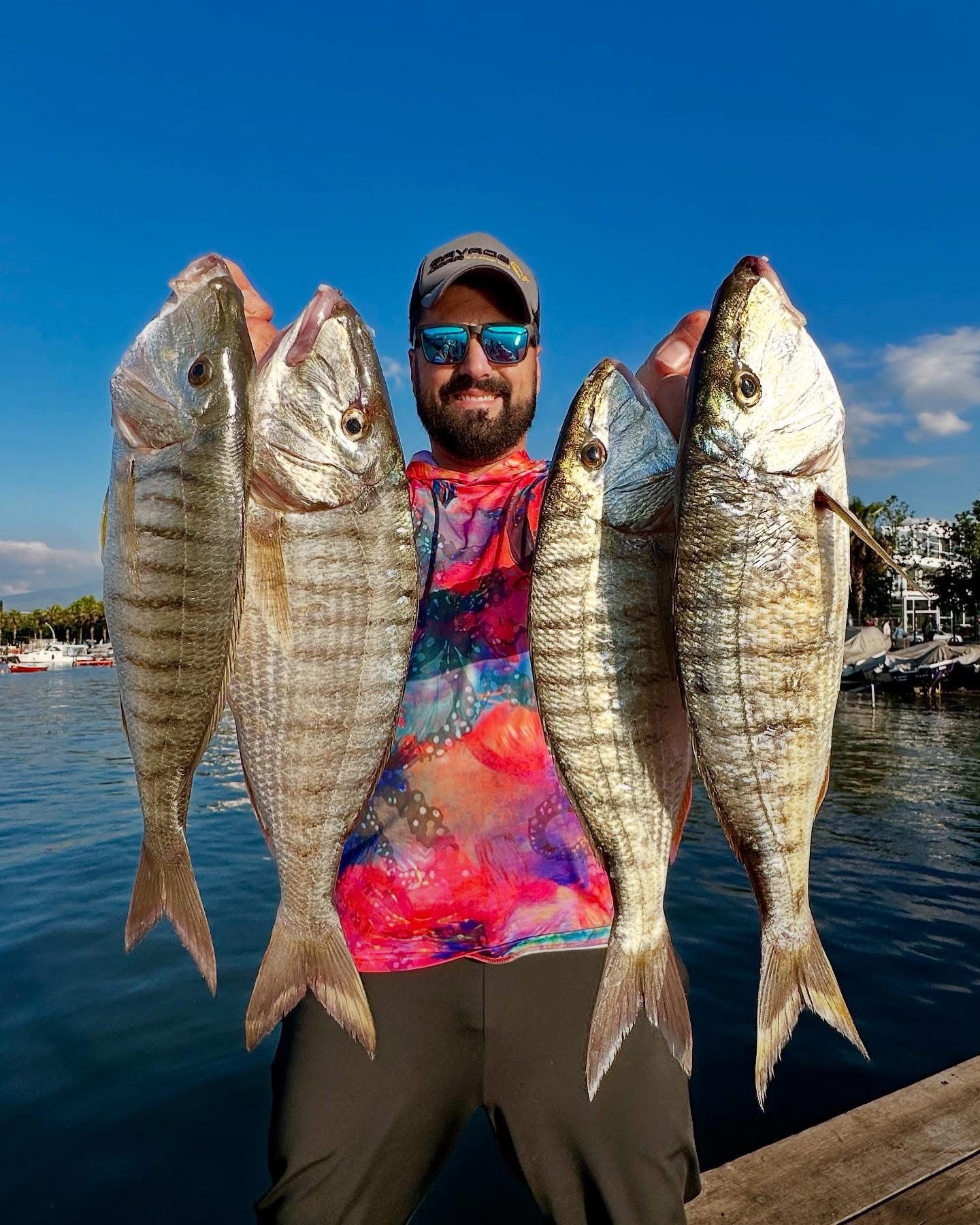 İzmit Körfezi’nden Bereket Fışkırıyor