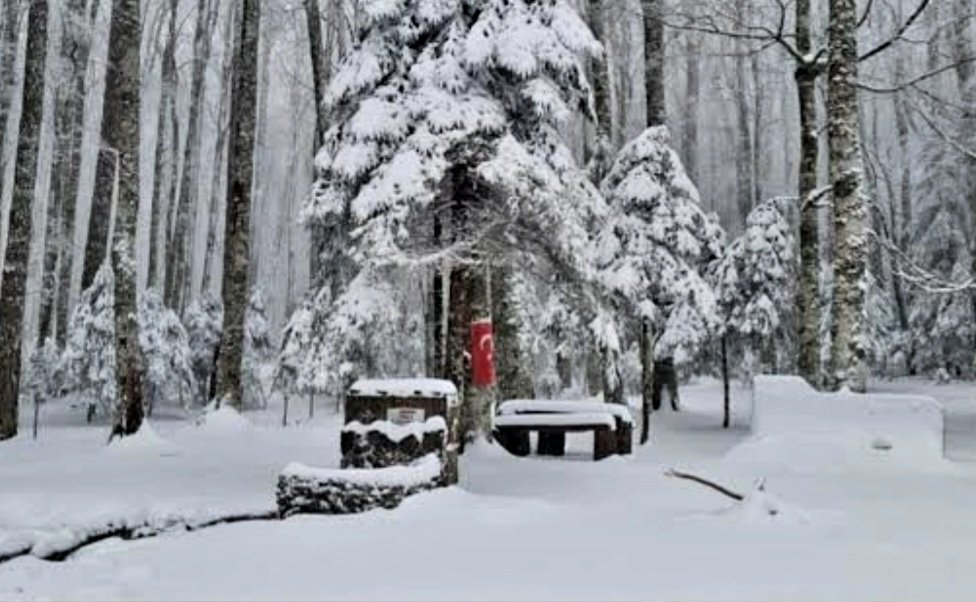 Baharı Beklerken Kuzu Yaylaya Kar Düştü