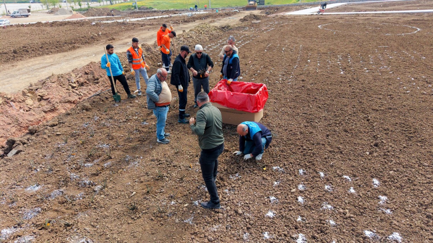 Gül Bahçesi Parkı’nda 15 Bin Fidan Toprakla Buluşuyor