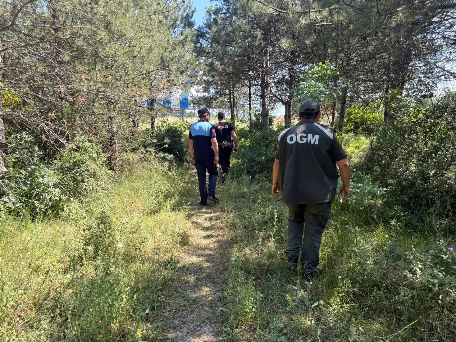 Dilovası’nda Orman Yangınlarına Karşı Sıkı Denetim